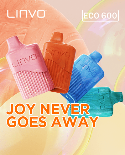 LINVO ECO 600